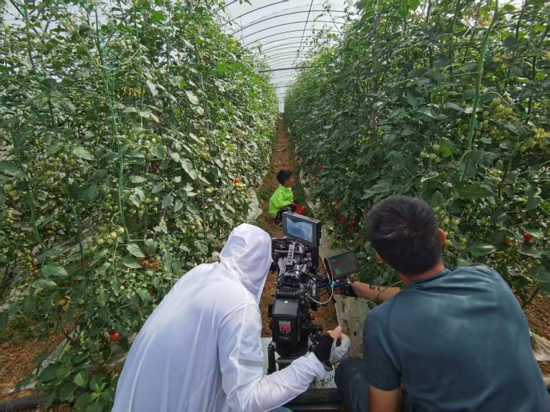 高效落地，重庆TVC拍摄公司助力品牌抢占市场先机